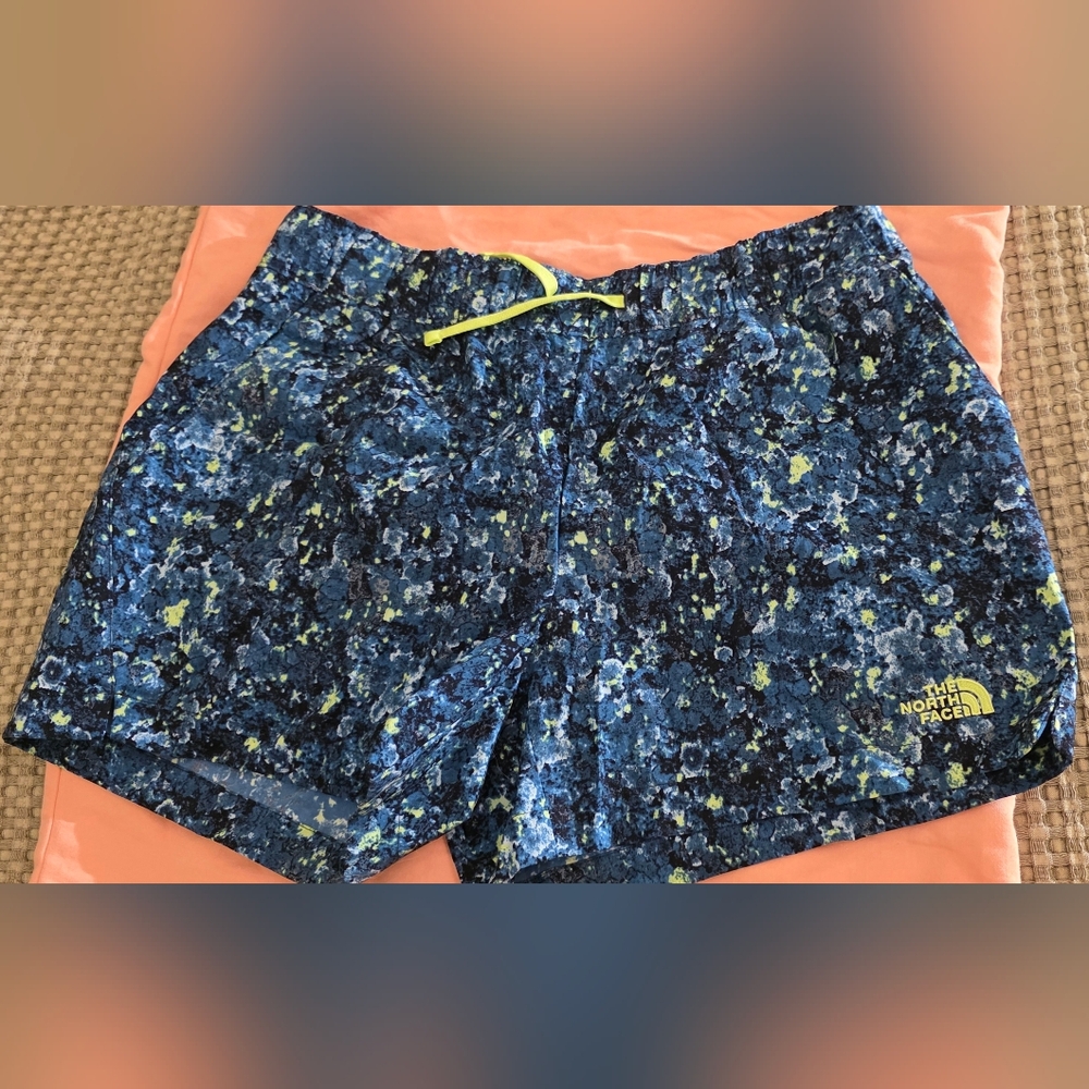 NorthFace Classic V Shorts